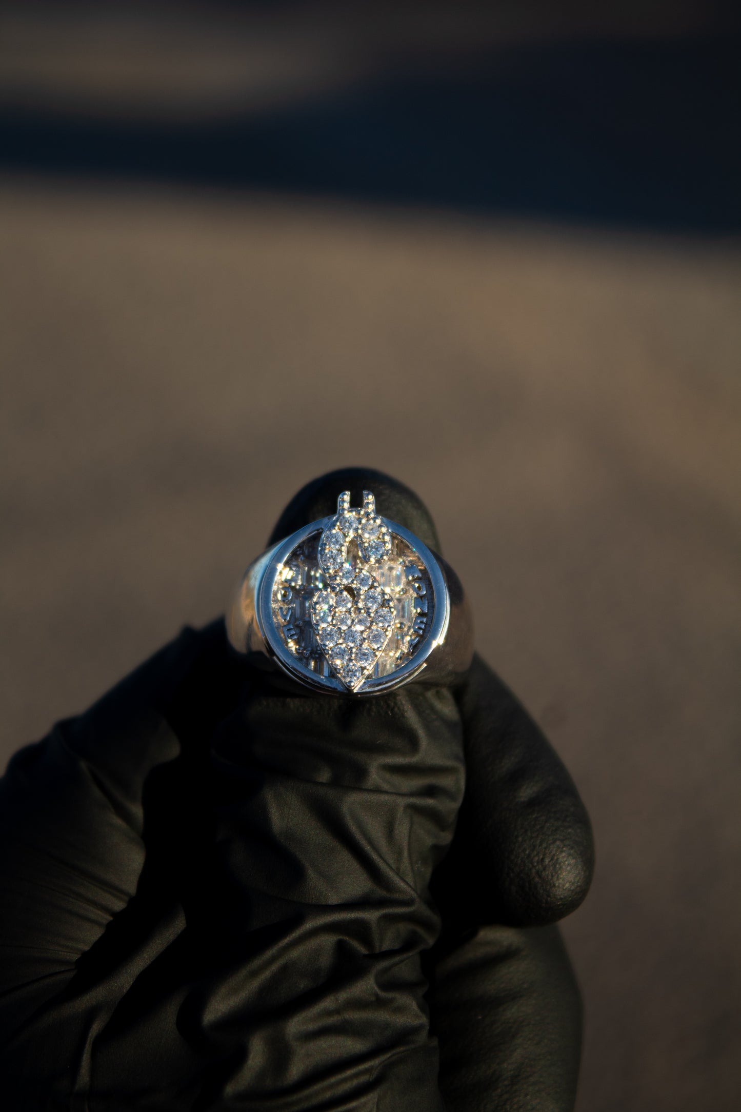 Anillo de amor por el dinero