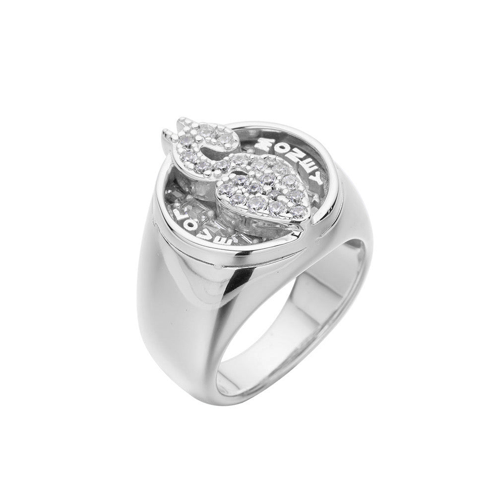 Anillo de amor por el dinero